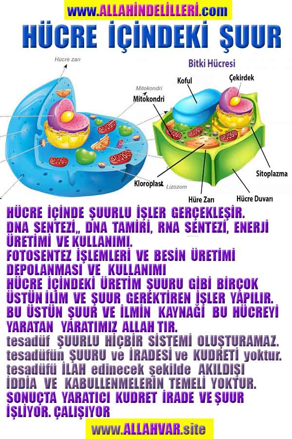 Eğitici Görsel 2