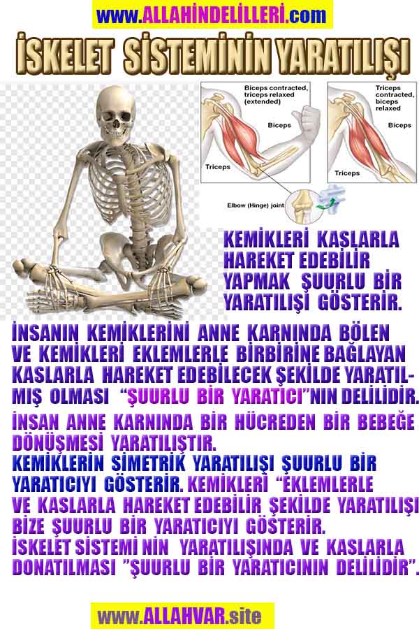 Eğitici Görsel 2